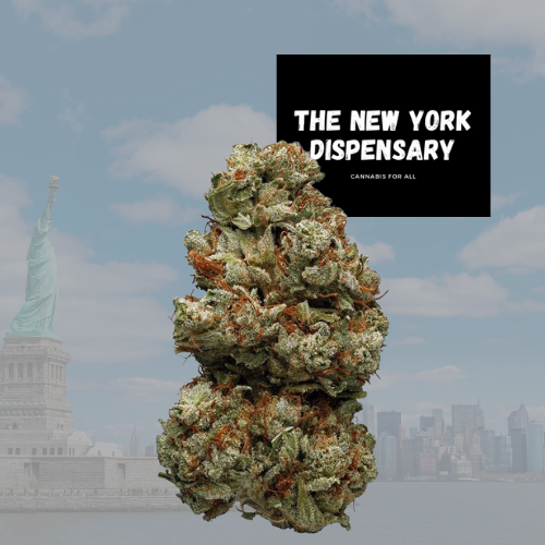 Dispensary of New York